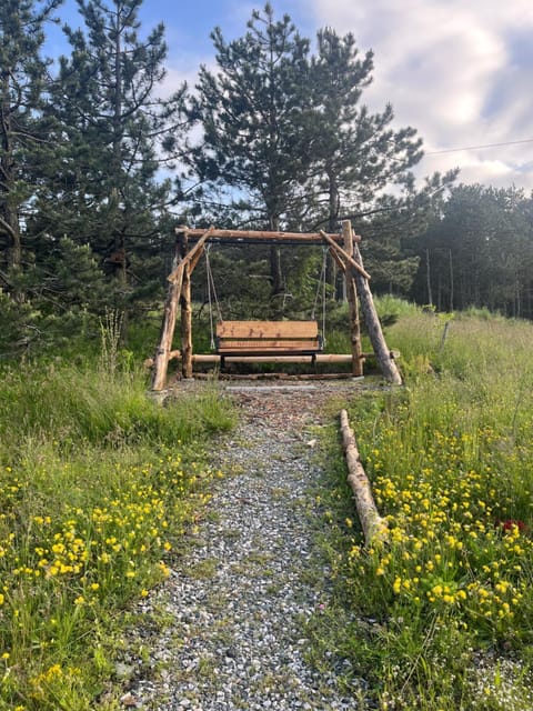 Studio Viline kose Apartment in Zlatibor District, Serbia