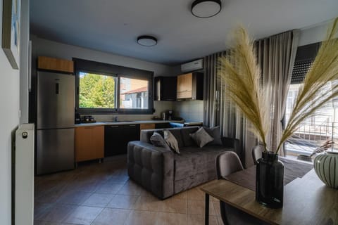 Kitchen or kitchenette, Living room, Seating area