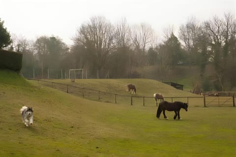 Property building, Garden, View (from property/room), Animals, Pets, Garden view, Garden view, Landmark view