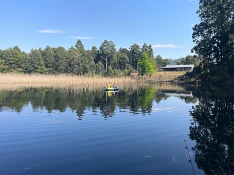 Lake view