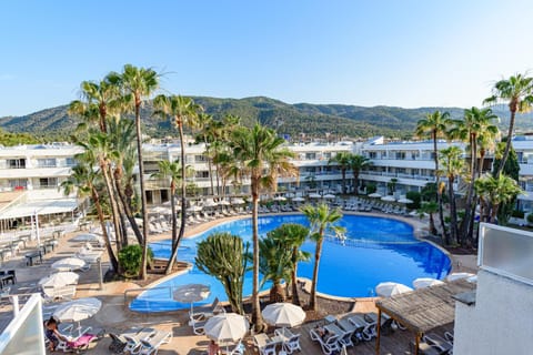 Bird's eye view, Swimming pool
