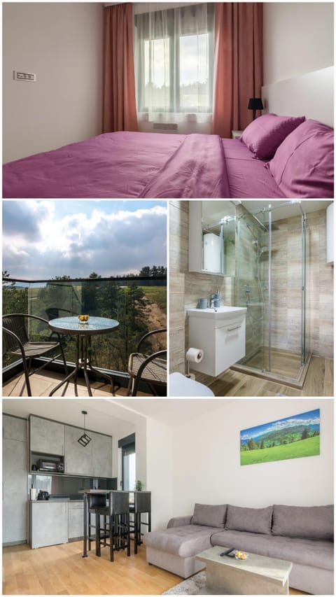 Zlatiborske Zore Apartment in Zlatibor