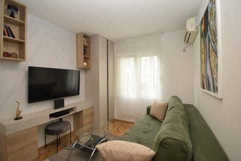 Studio apartment Art Zone Apartment in Podgorica