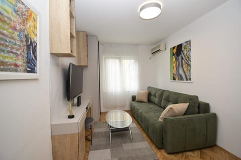 Studio apartment Art Zone Apartment in Podgorica