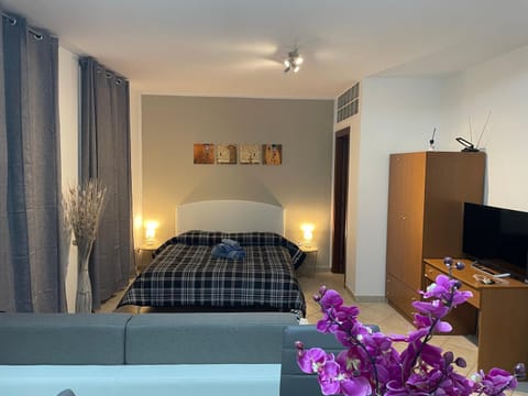 Bed, TV and multimedia, Photo of the whole room, Bedroom