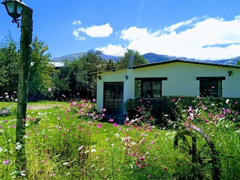 Property building, Spring, Day, Garden, Garden view