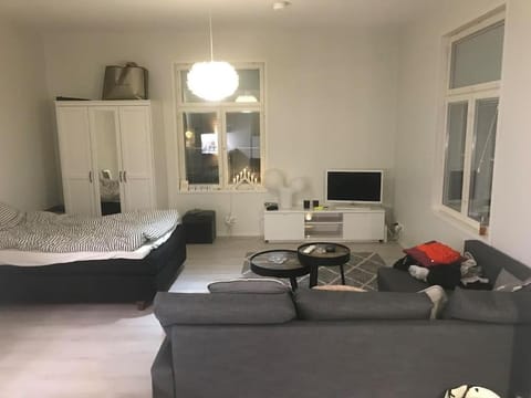 Valoisa avara yksiö loistavalla sijannilla Apartment in Finland