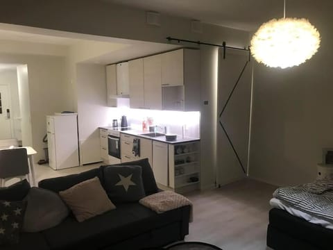 Valoisa avara yksiö loistavalla sijannilla Apartment in Finland