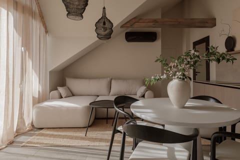 Living room, Seating area, Dining area, air conditioner