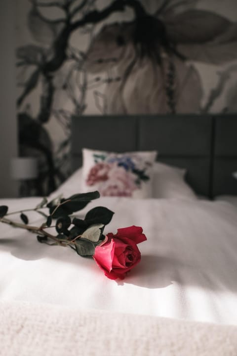 Apartament Komfort Apartment in Pomeranian Voivodeship