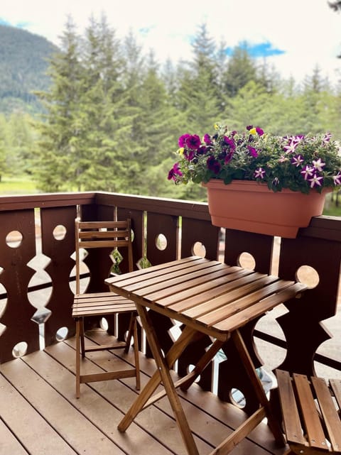 Terra Vista Chalet Country House in Olympic National Park