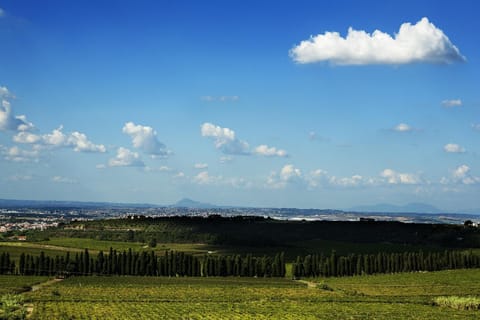 Bird's eye view, View (from property/room), Balcony/Terrace, City view, Garden view
