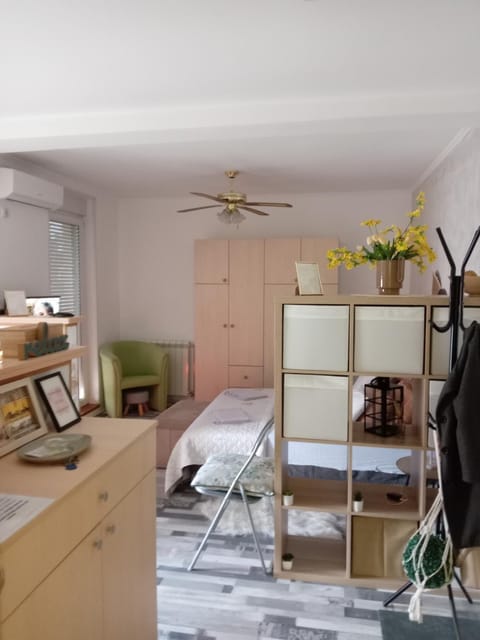 Apartment Zira1 Apartment in Novi Sad