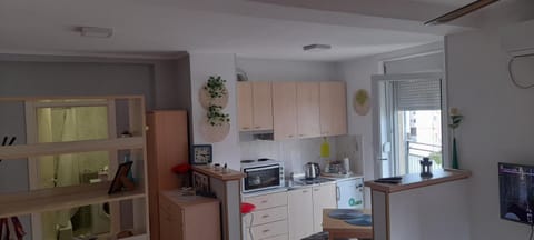 Apartment Zira1 Apartment in Novi Sad