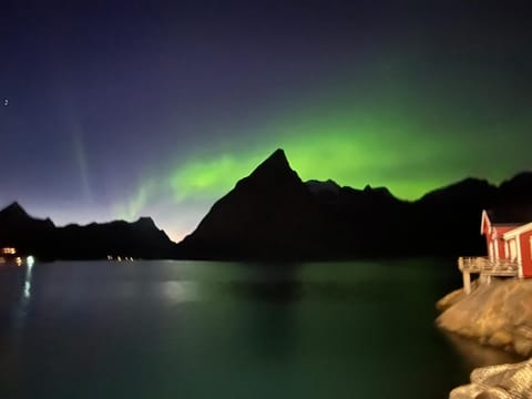 Lofoten suite apartments - Rostad Retro Rorbuer Apartment in Lofoten