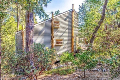 CASA de los ARBOLES! Delight & Solitude Abound! Chalet in Idyllwild-Pine Cove