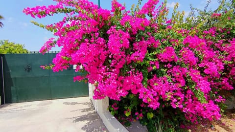 Finca él Aulagar House in Valle del Guadalhorce