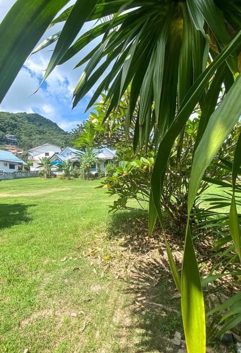 Garden, Garden view, Mountain view