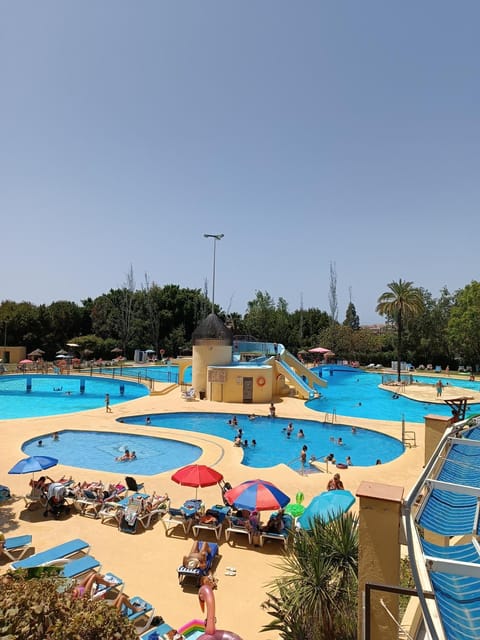 Day, Pool view, Swimming pool