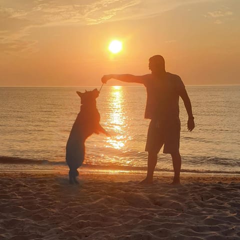 Studio Meißner - Parkresidenz Dierhagen Apartment in Mecklenburg-Vorpommern, Germany