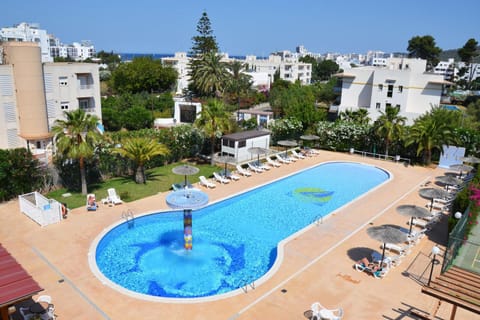 Garden, Swimming pool
