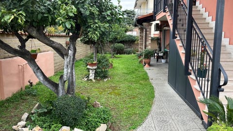 Day, Garden view
