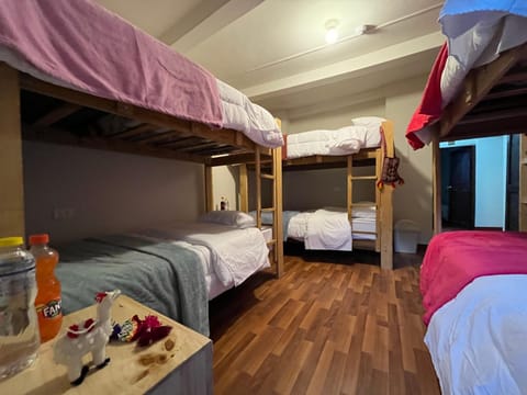 Photo of the whole room, Bedroom, bunk bed