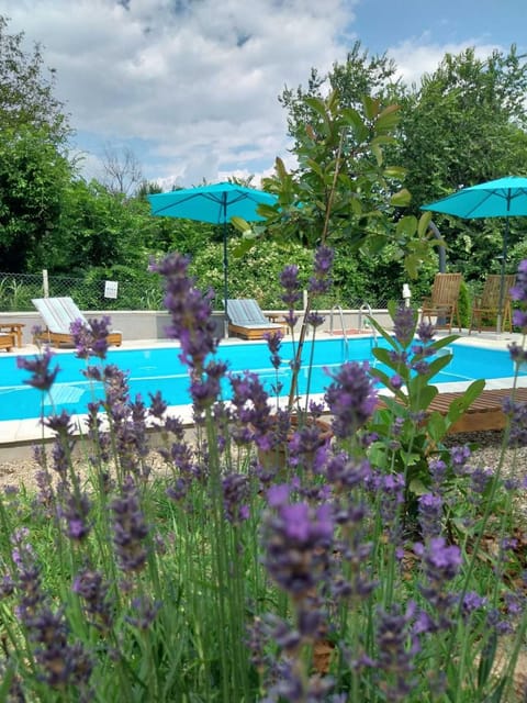 Day, Garden, Pool view, Swimming pool, sunbed