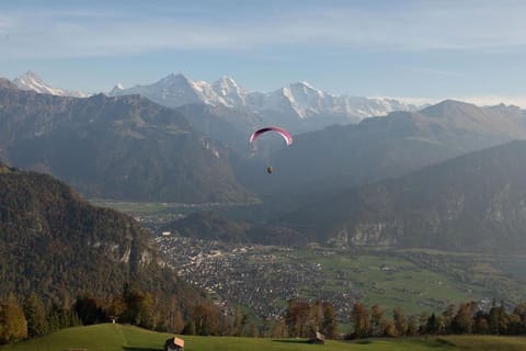 Wengen Ski Cup Lauberhorn flat available Apartment in Lauterbrunnen
