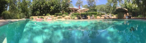 Pool view, Swimming pool, Swimming pool