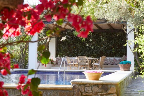 Garden view, Swimming pool