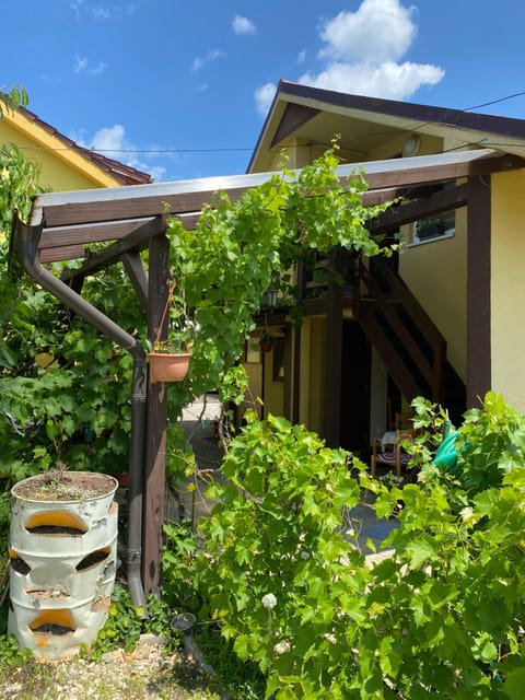 Property building, Spring, Day, Garden, Garden view