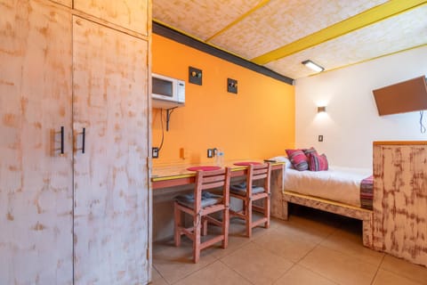 Lofts San Ángel Apartment in Mexico City