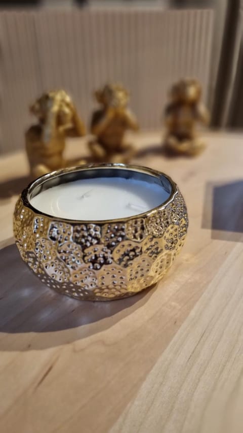 Studio avec beaucoup de Charme intra muros Apartment in Avignon