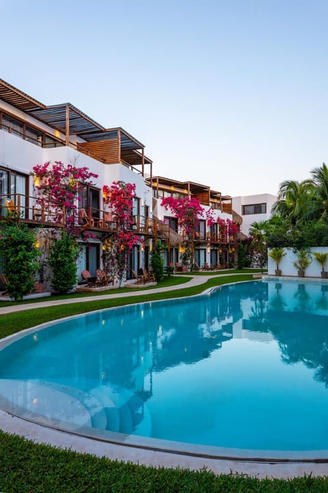 Garden, Pool view, Swimming pool