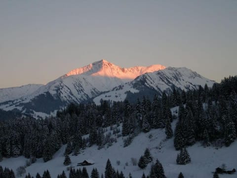 Gstaad Paradise View Chalet with Jacuzzi Chalet in Saanen
