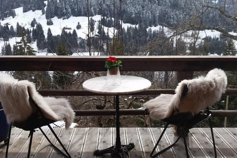Gstaad Paradise View Chalet with Jacuzzi Chalet in Saanen