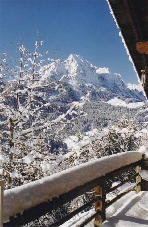 Gstaad Paradise View Chalet with Jacuzzi Chalet in Saanen