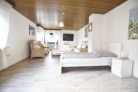 Bed, TV and multimedia, Living room, Photo of the whole room, Seating area, Bedroom