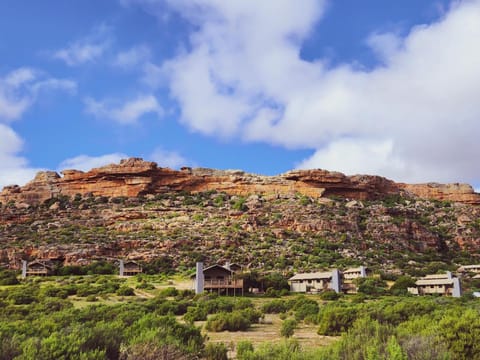 Property building, Natural landscape