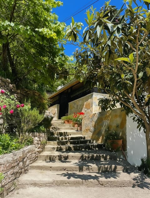 Spring, Garden