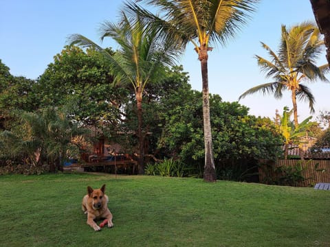 Garden, Garden view