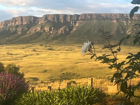 Natural landscape