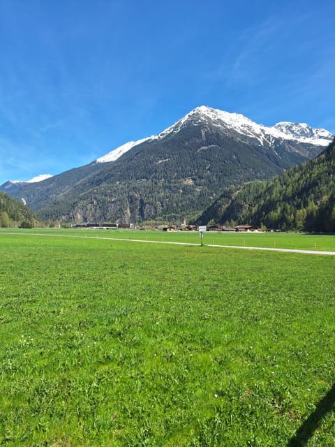 Apartment Steindl Apartment in Trentino-South Tyrol