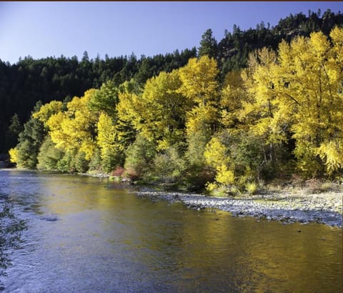 River view