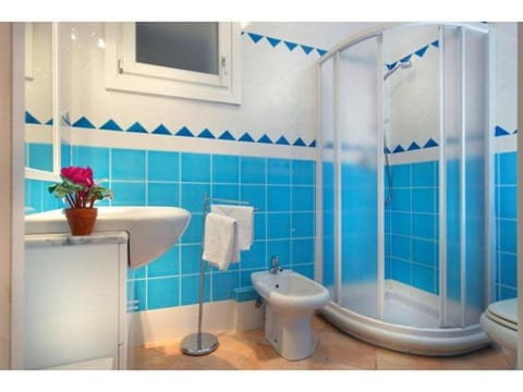 Shower, Toilet, Bathroom, bidet