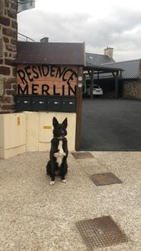 Résidence Merlin Appart des Druides Apartment in Brittany