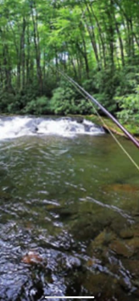 Twin Oaks Villa in Bryson City