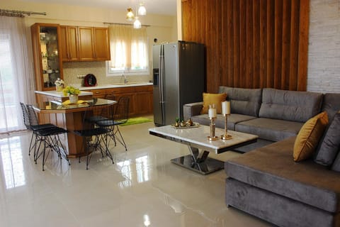 Kitchen or kitchenette, Living room, Dining area, stove