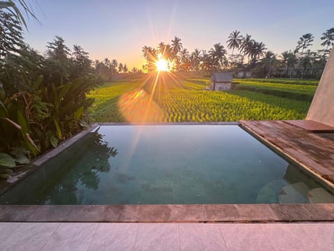 Natural landscape, Swimming pool